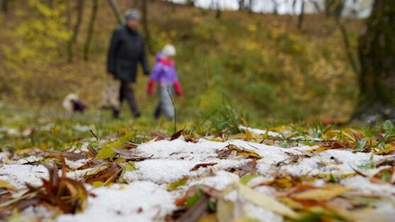    Метеоролог: в конце недели в Москве может появиться временный снежный покров Ирина Петрова