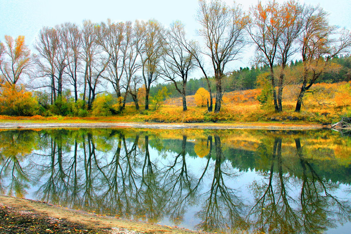 Фотография, стихотворение Василия Глуцкого