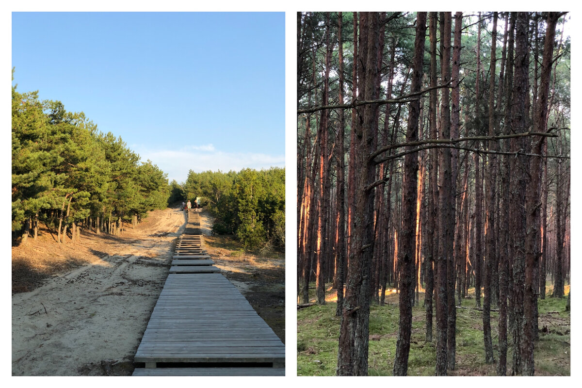 Первая часть маршрута к озеру Лебедь 