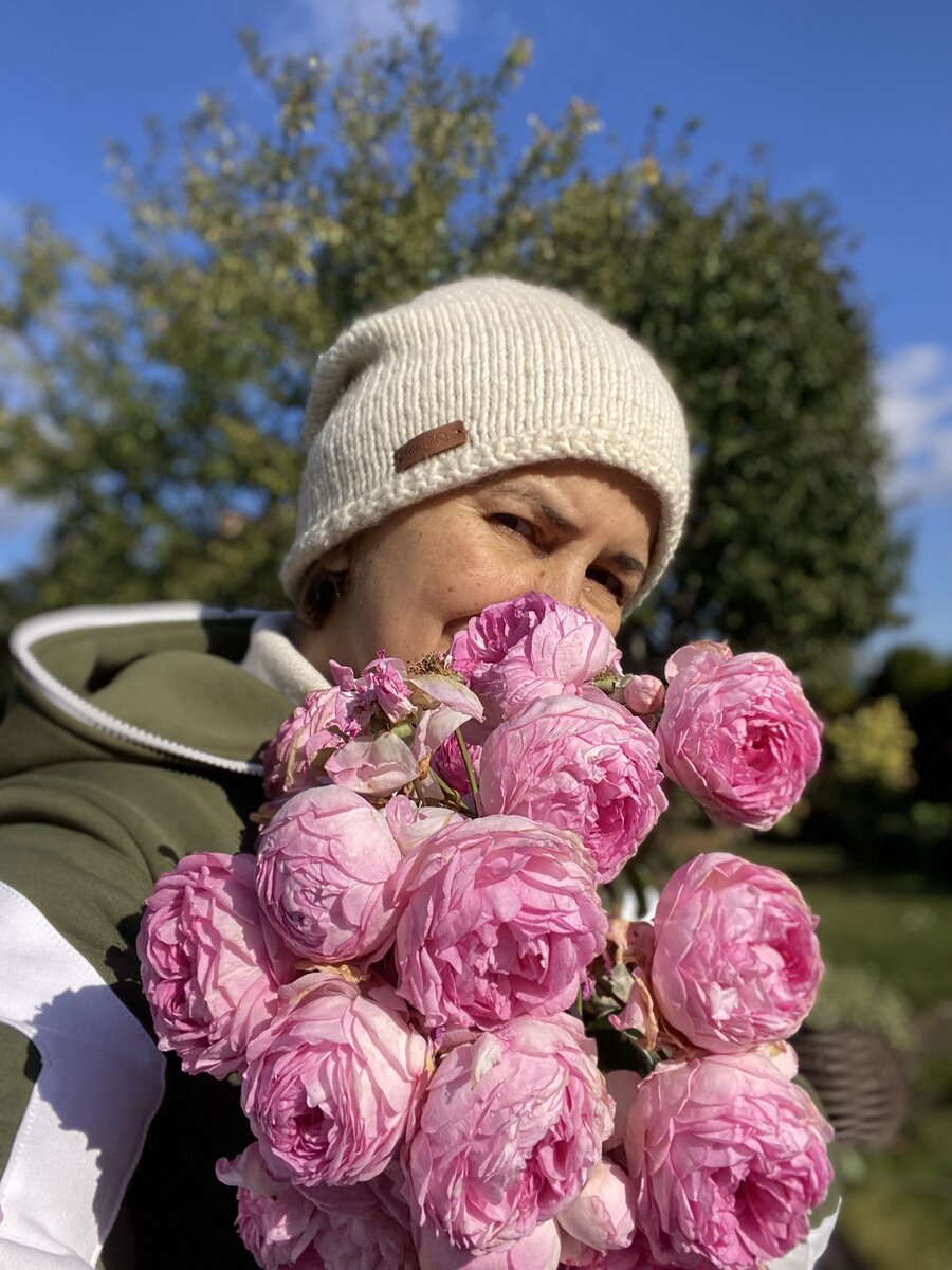 Укрытие роз осенью