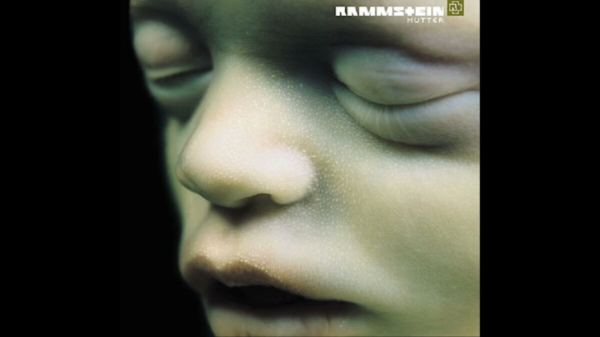 фото из открытого доступа.