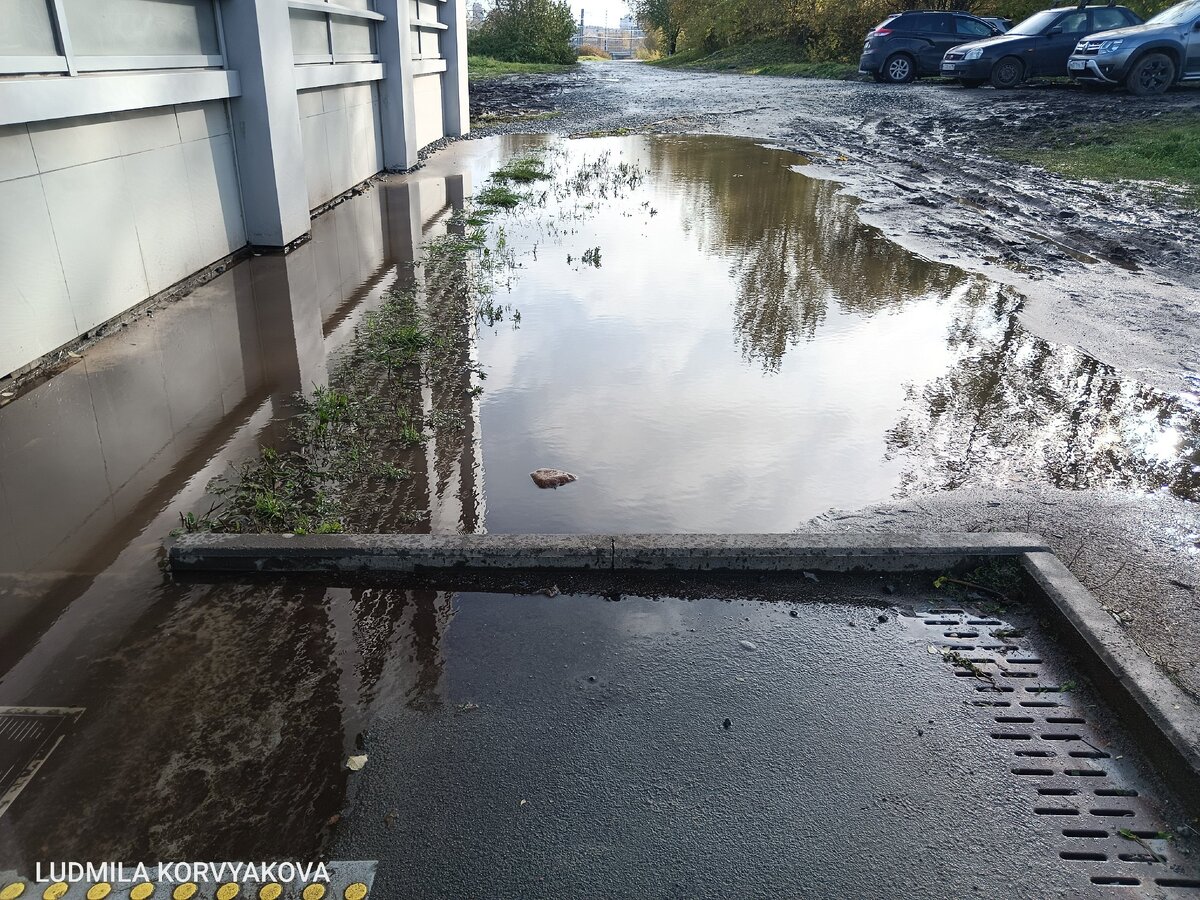    Жители Перевалки добираются до железнодорожного вокзала Петрозаводска по болотуЛюдмила Корвякова