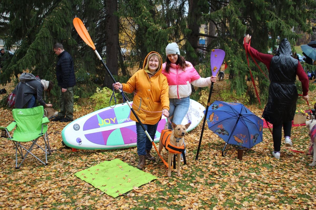 154 тысячи рублей для приюта Академгородка собрали на благотворительной  фотосессии | Бердск-Онлайн СМИ | Дзен