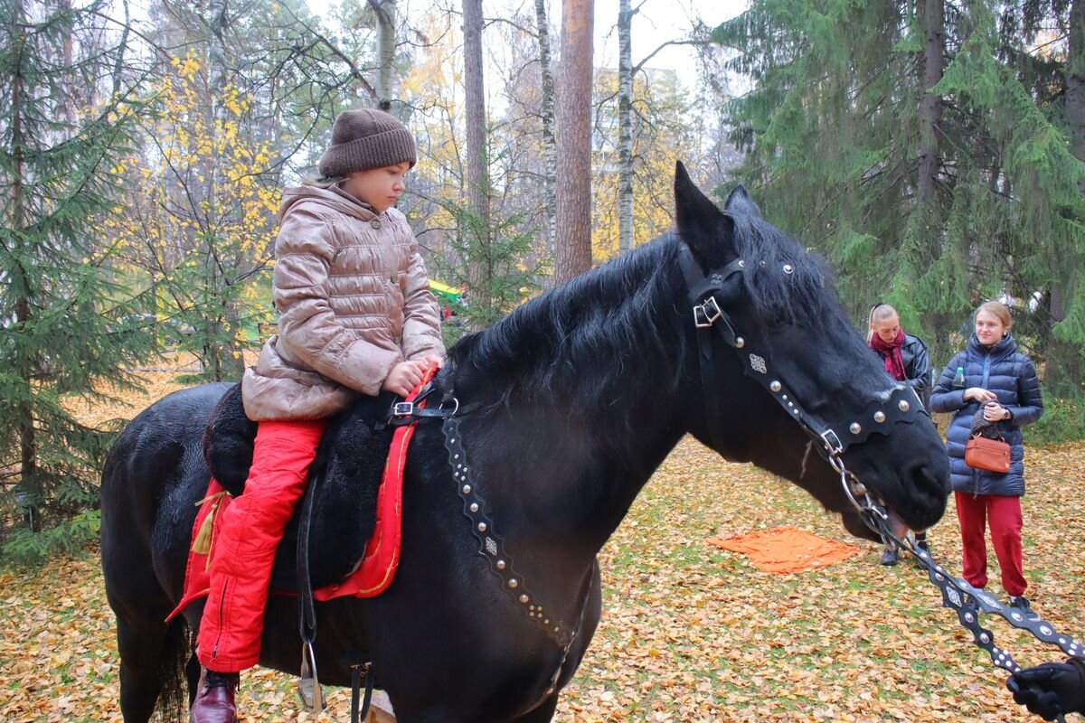 Приют Шестакова Адыгея