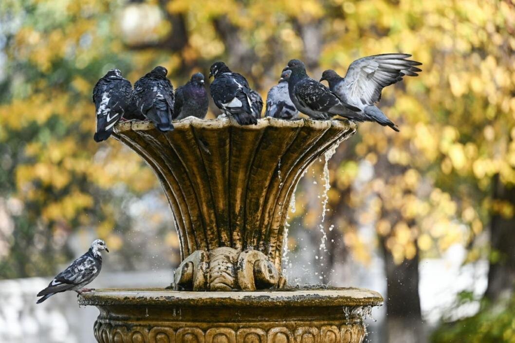 Фото: Сергей Елесин, ИА "Тюменская линия"