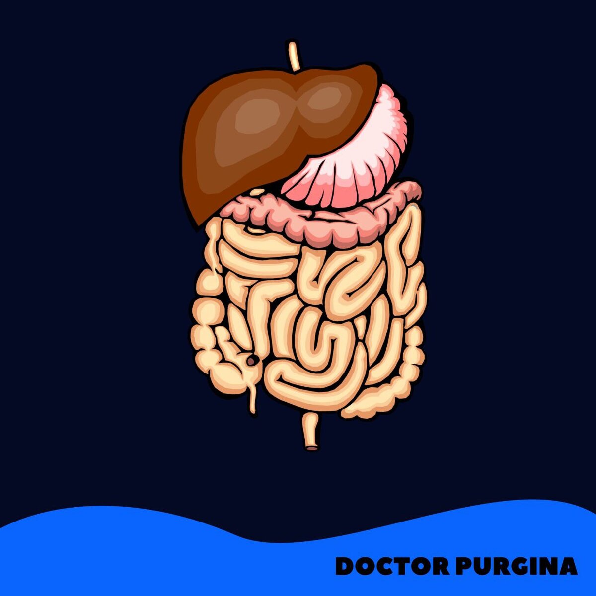 Нарушение функции желчного пузыря | Гастроэнтеролог Пургина Даниэла | Дзен