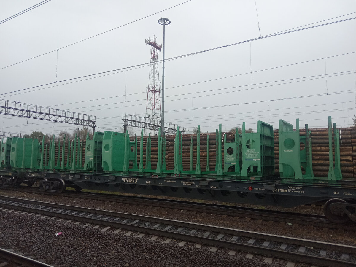 Лесовозы грустят под дождем.