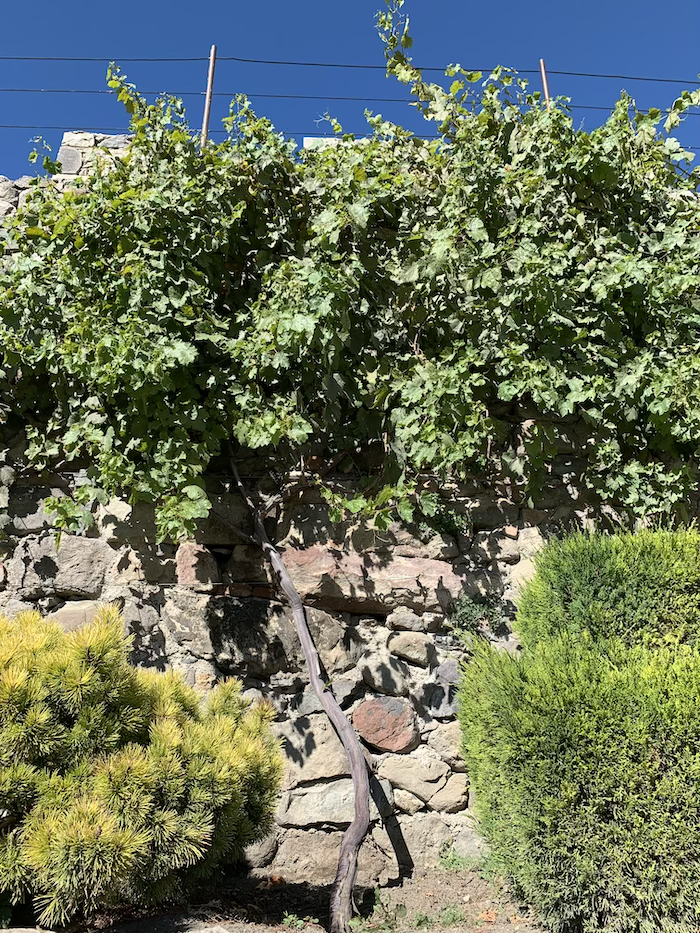 Участок старой стены Рабата