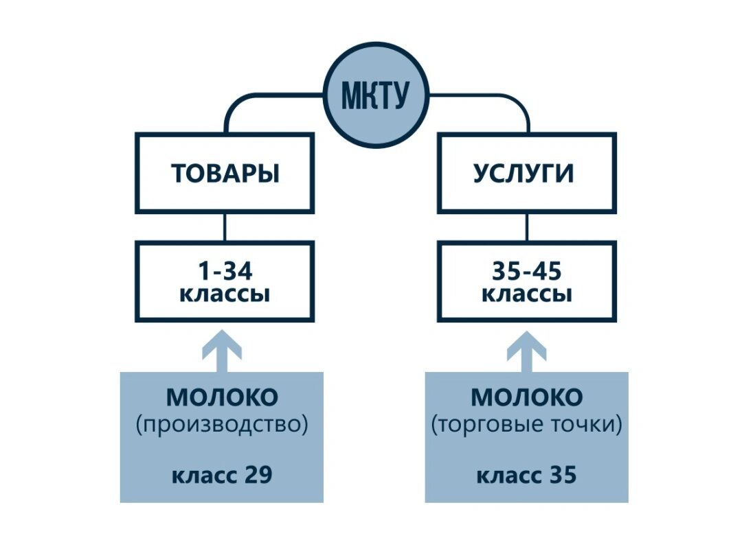 Паспорт Размер Photo Maker