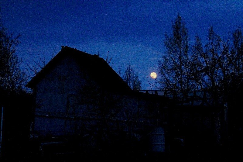 Из открытых источников