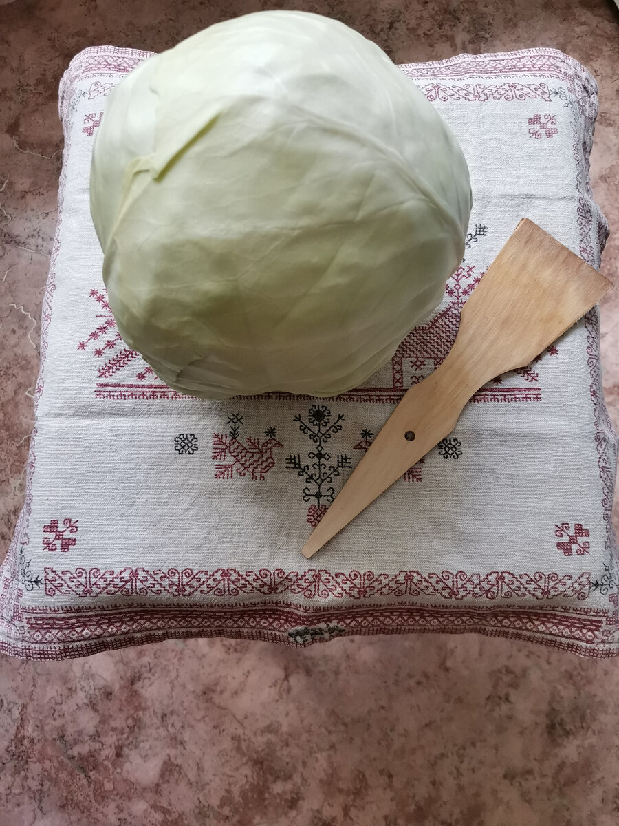 Капуста сорта Белорусская. Фото: фото личного архива (с)