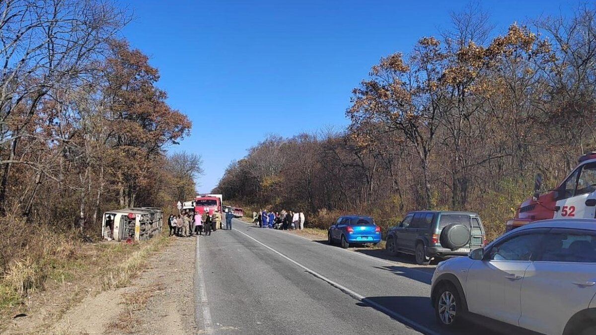     Полицейские Приморья выяснили причину аварии с пассажирским туристическим автобусом, улетевшим в кювет. Всего 20 пассажиров получили травмы, двое погибли.