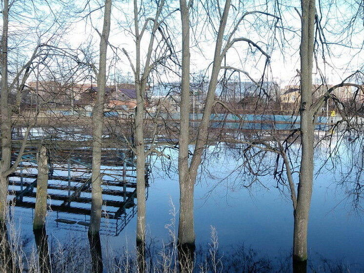     Март 2020 года / Анастасия Петрова