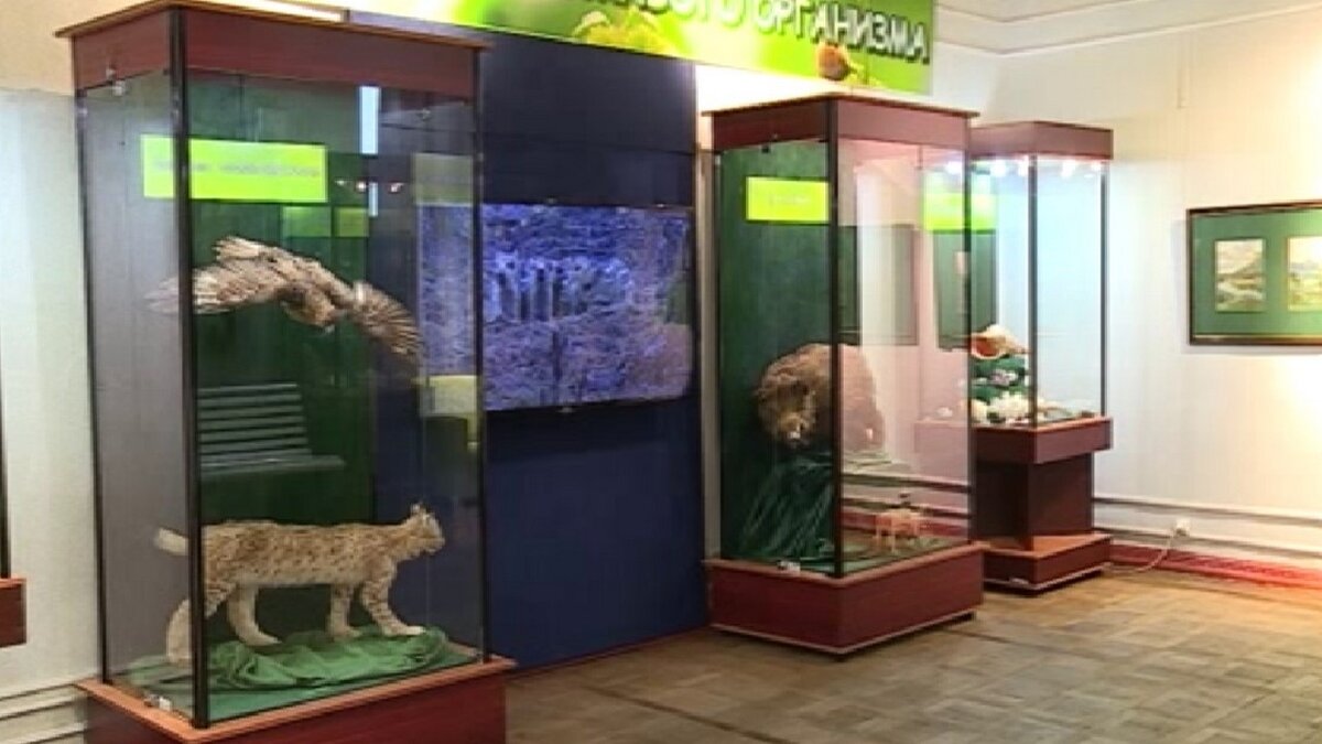    В курском краеведческом музее проходит выставка "Живая и неживая природа"