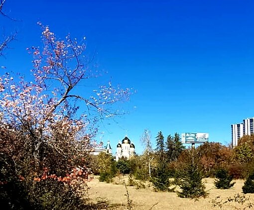 Осенний ботанический сад