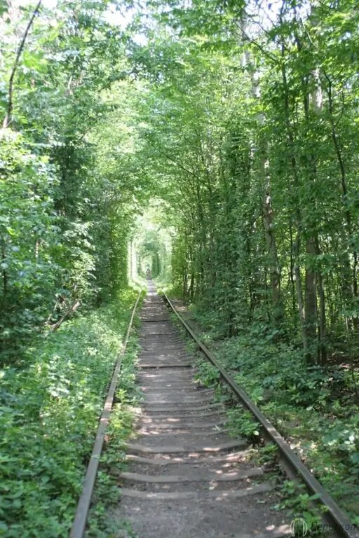 8 самых сильных мест на планете, где сбываются желания