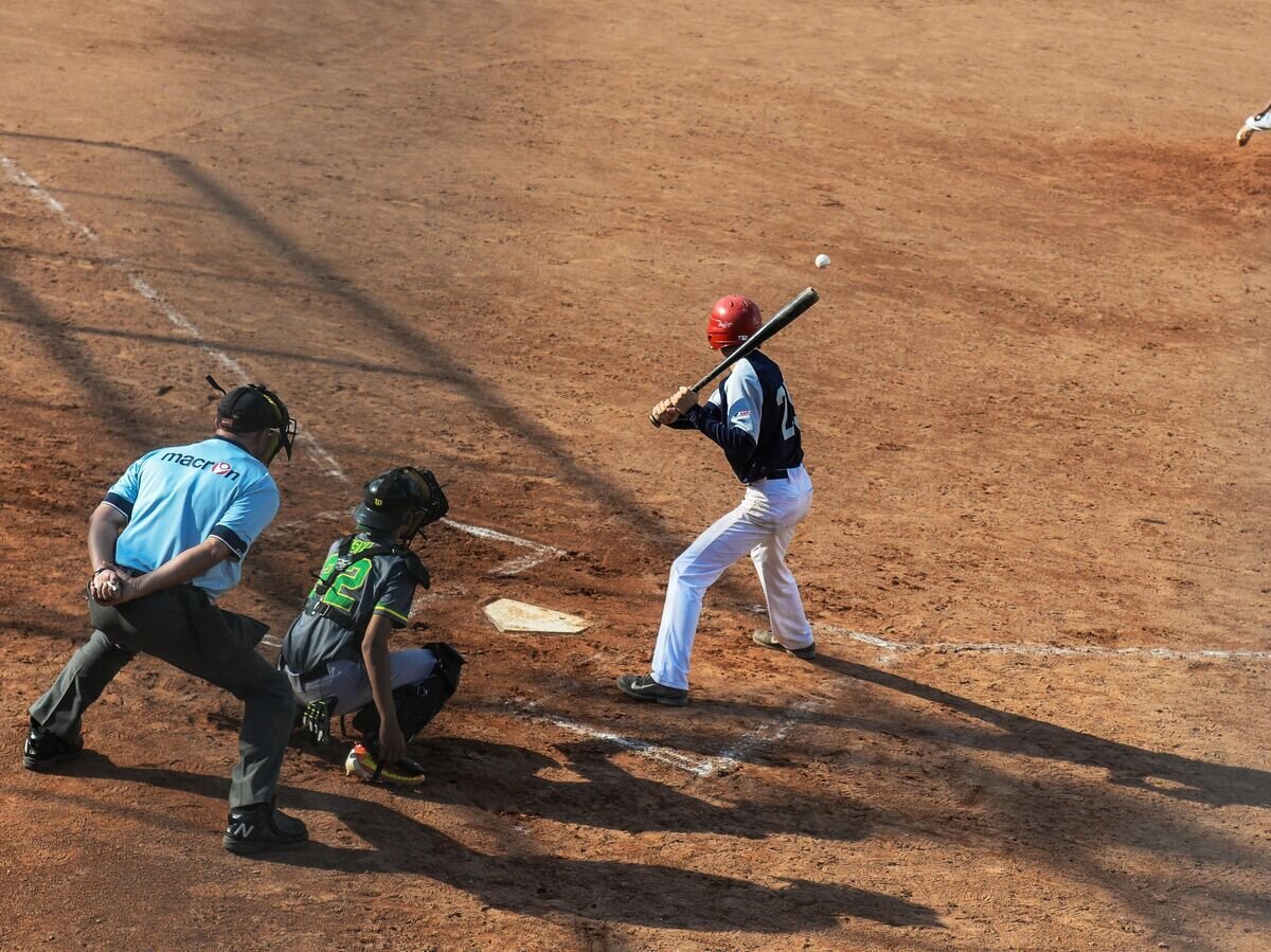    Парк "Братеевская пойма" в Москве© РИА Новости / Алексей Куденко
