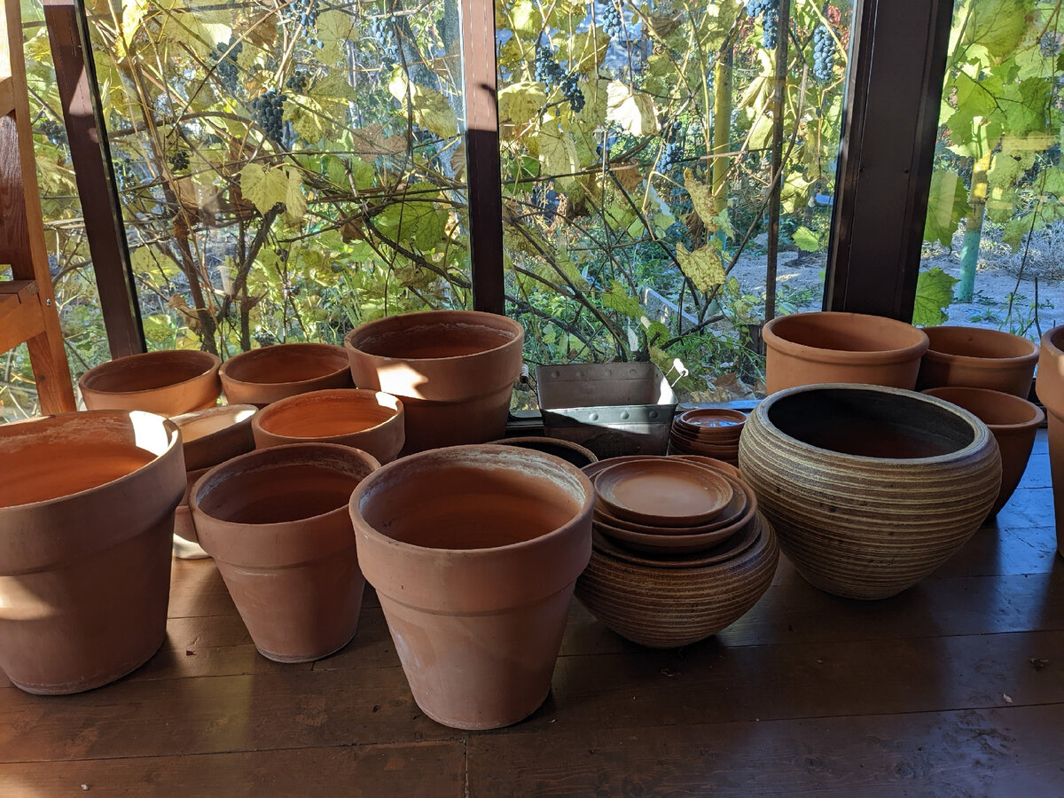 Горшки на веранде бесят мужа, но вдохновляют меня на новую весну
