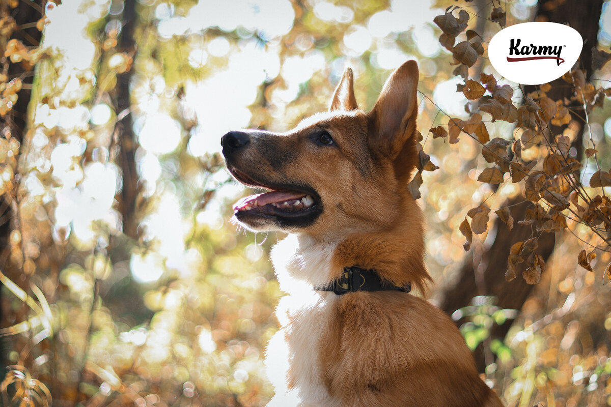 Авторское изображение с использованием картинки с фотостока "Unsplash"