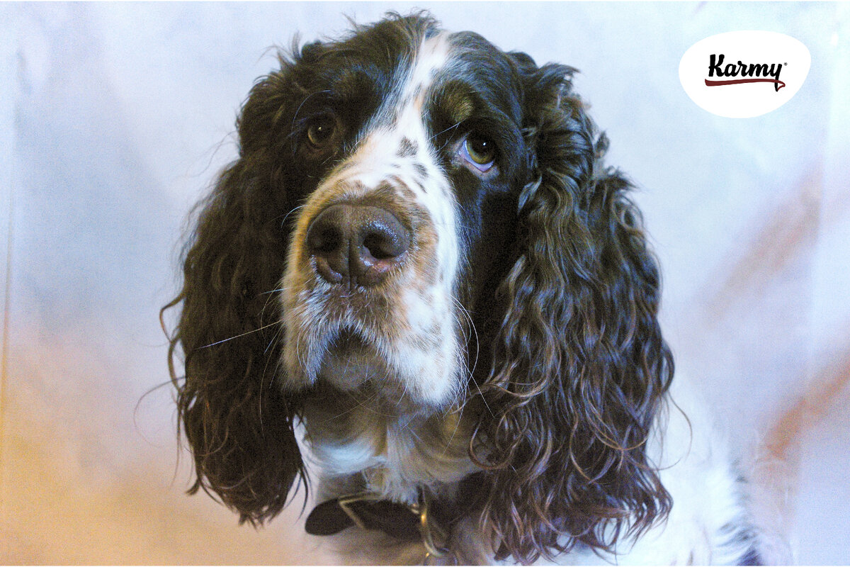 Авторское изображение с использованием картинки с фотостока "Unsplash"