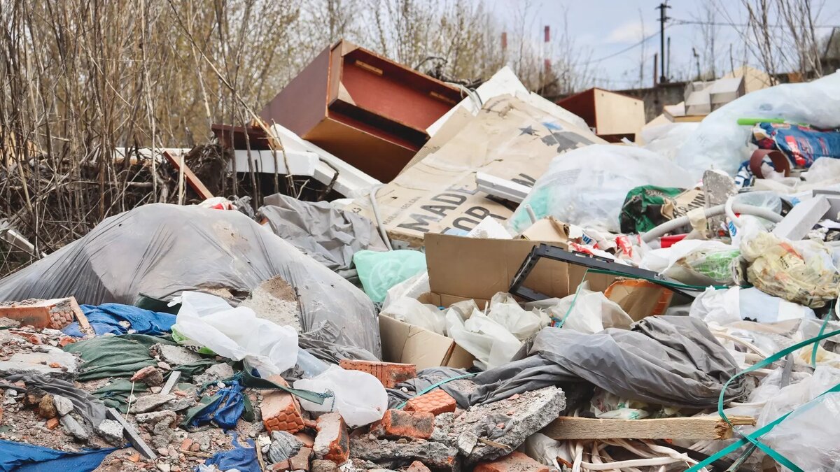     Жители Воткинска сняли на видео, как полчища крыс бегают по мусорным контейнерам.