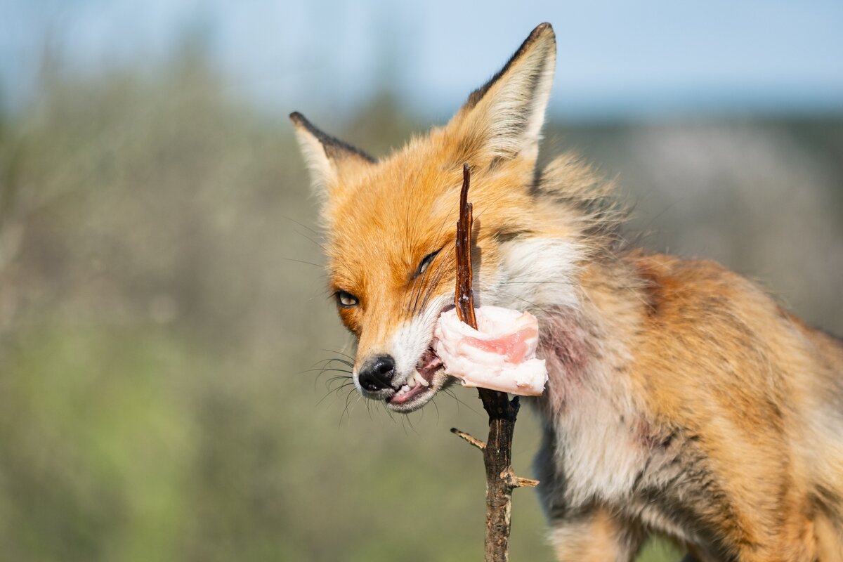 Архивное фото 2021 г.