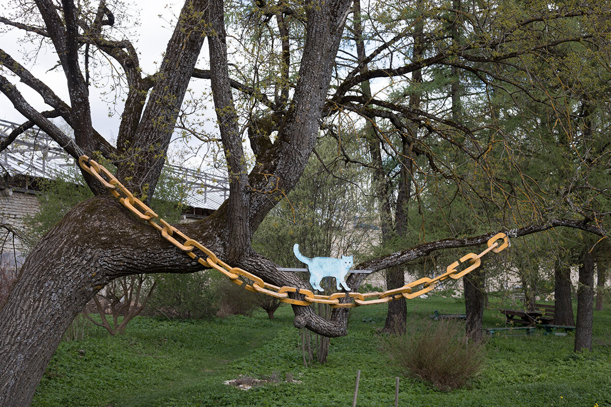 Порховская крепость, город Порхов, Псковская область, 2023 год Фото: Надежда Крылова