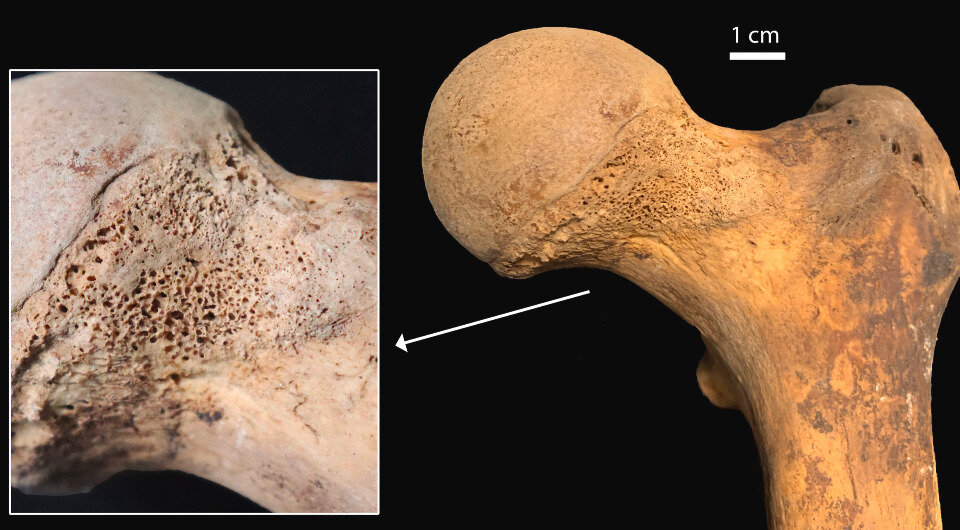   Gaia Giordano et al. / Journal of Archaeological Science, 2023