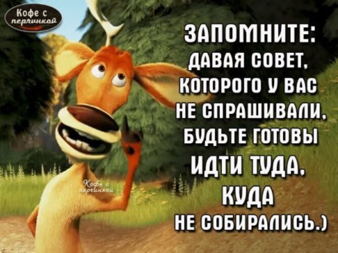 Фото из интернета. 