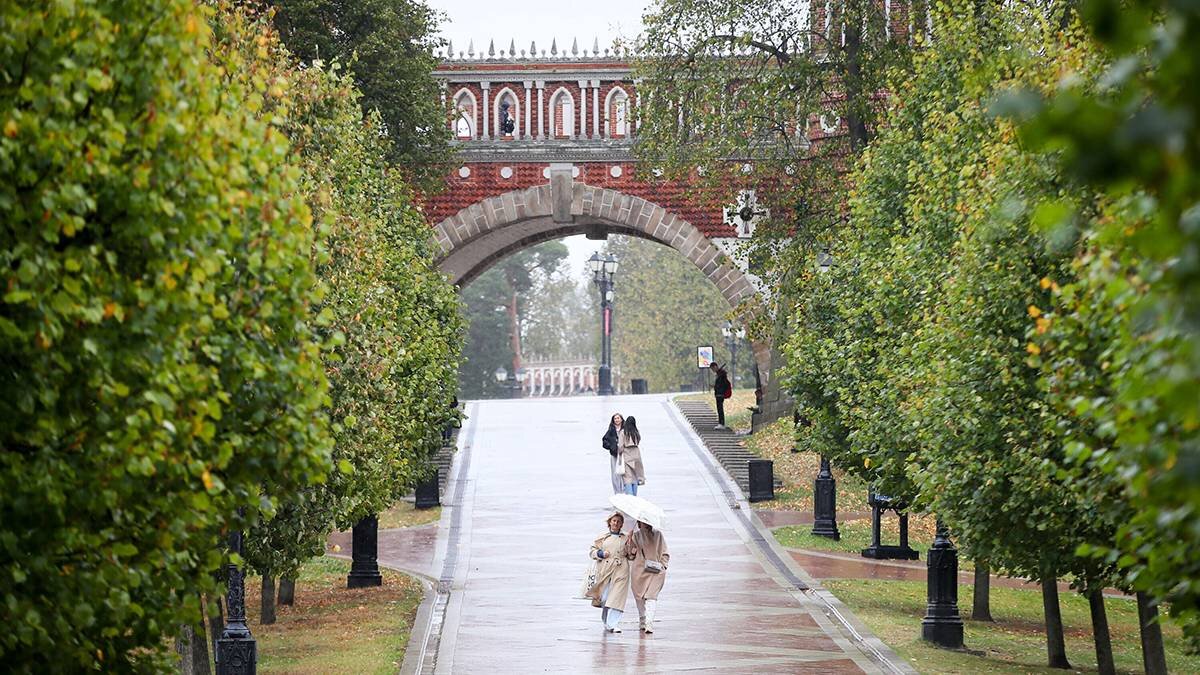    Фото: Василий Кузьмиченок / АГН Москва