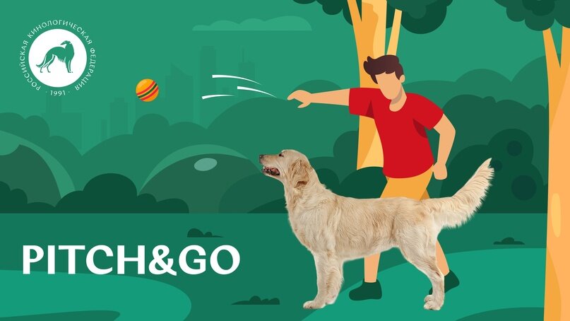 Все о Pitch&Go для собак. Источник: Российская кинологическая федерация