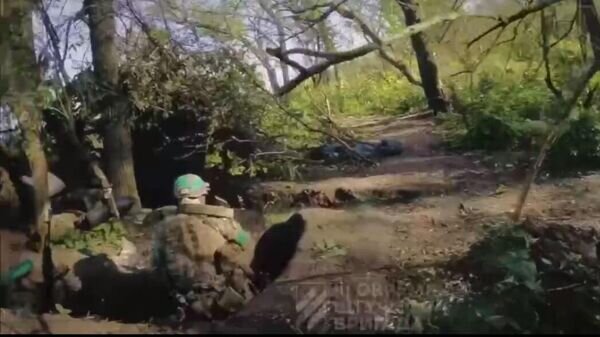    © скрин с видео