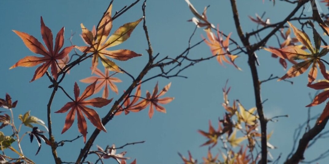 Хотя были там красивые моменты природы :),