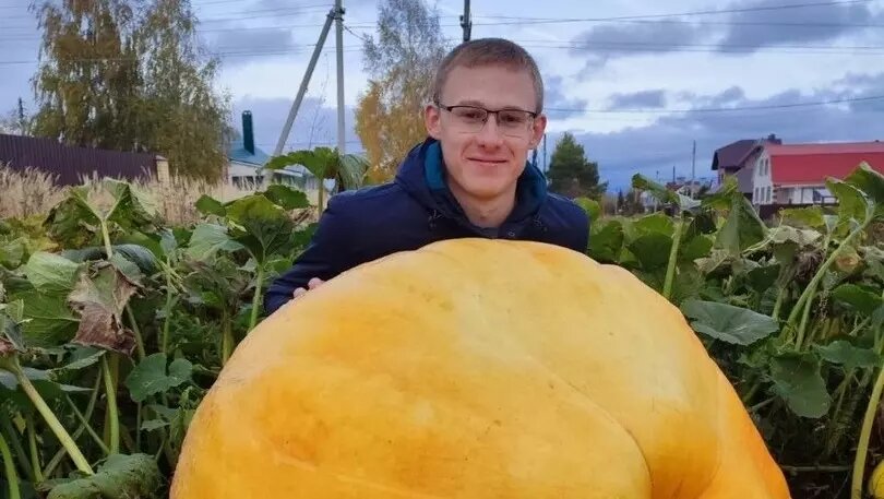     Студент Института биологии и биомедицины ННГУ Михаил Горохов вырастил 150-килограммовую тыкву на своем участке. Об этом сообщил сотрудник пресс-службы вуза Алексей Никонов на своей странице в соцсетях.