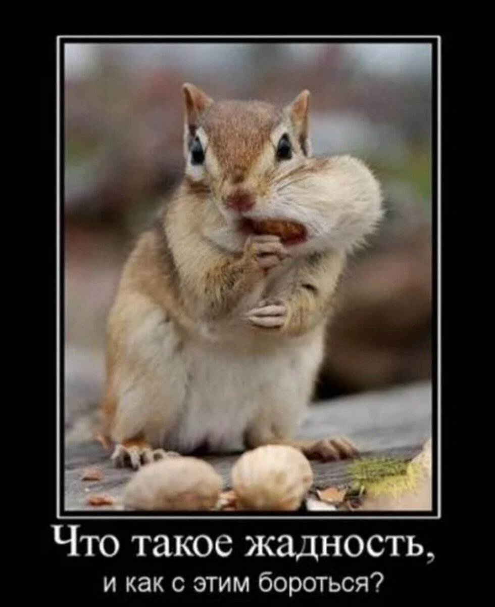 Одно из плохих качеств не только у животных.
