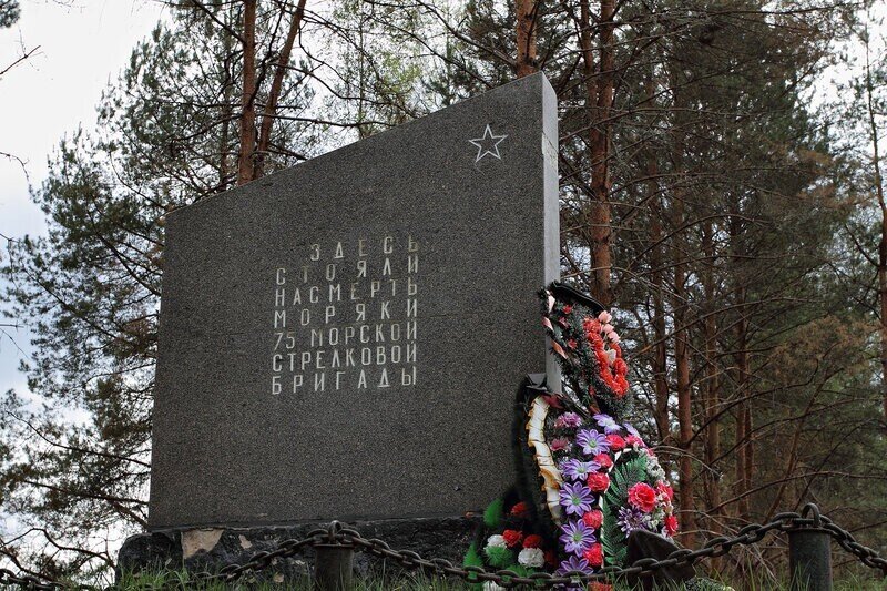 https://fishki.net/3438909-75-ja-otdelynaja-morskaja-strelkovaja-brigada--pehotincy-v-chyornyh-shineljah.html