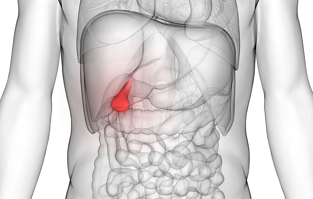 Где находится желчный пузырь?