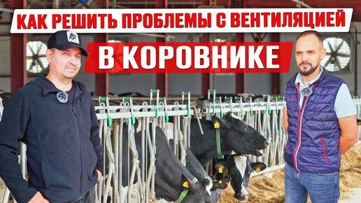 Установка вентиляции в коровнике | Оборудование фермы | Реконструкция коровника | Содержание КРС