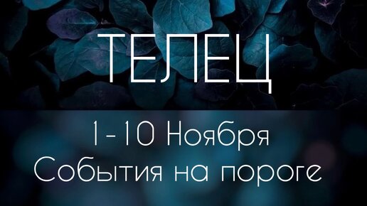 Телец ♉️ Что произойдет с 1 по 10 Ноября?