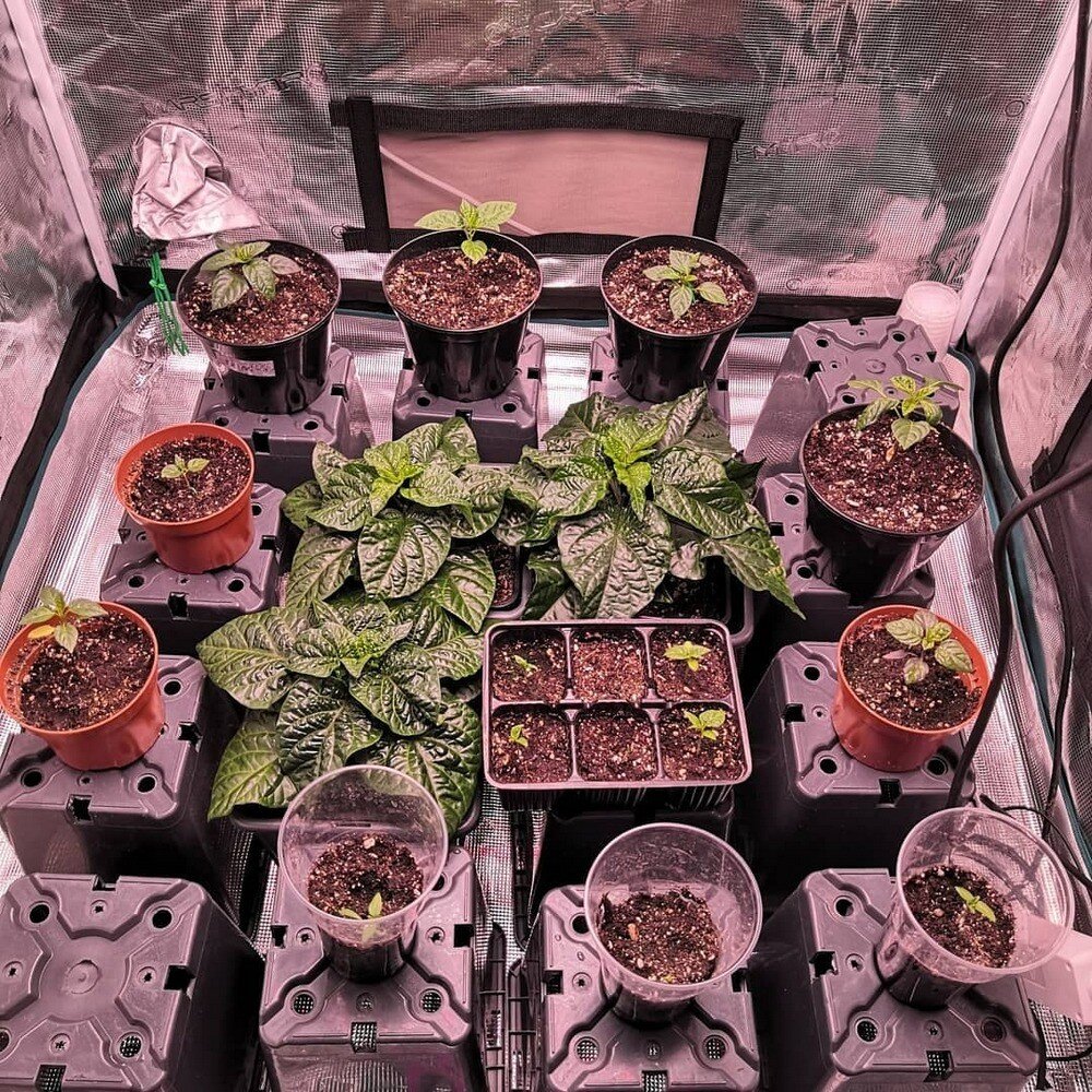    Вариации контейнеров действительно бесконечны | HotterStuffer Season 1