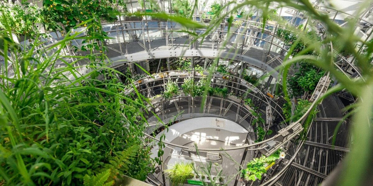 Комплекс "Зарядье" в Москве