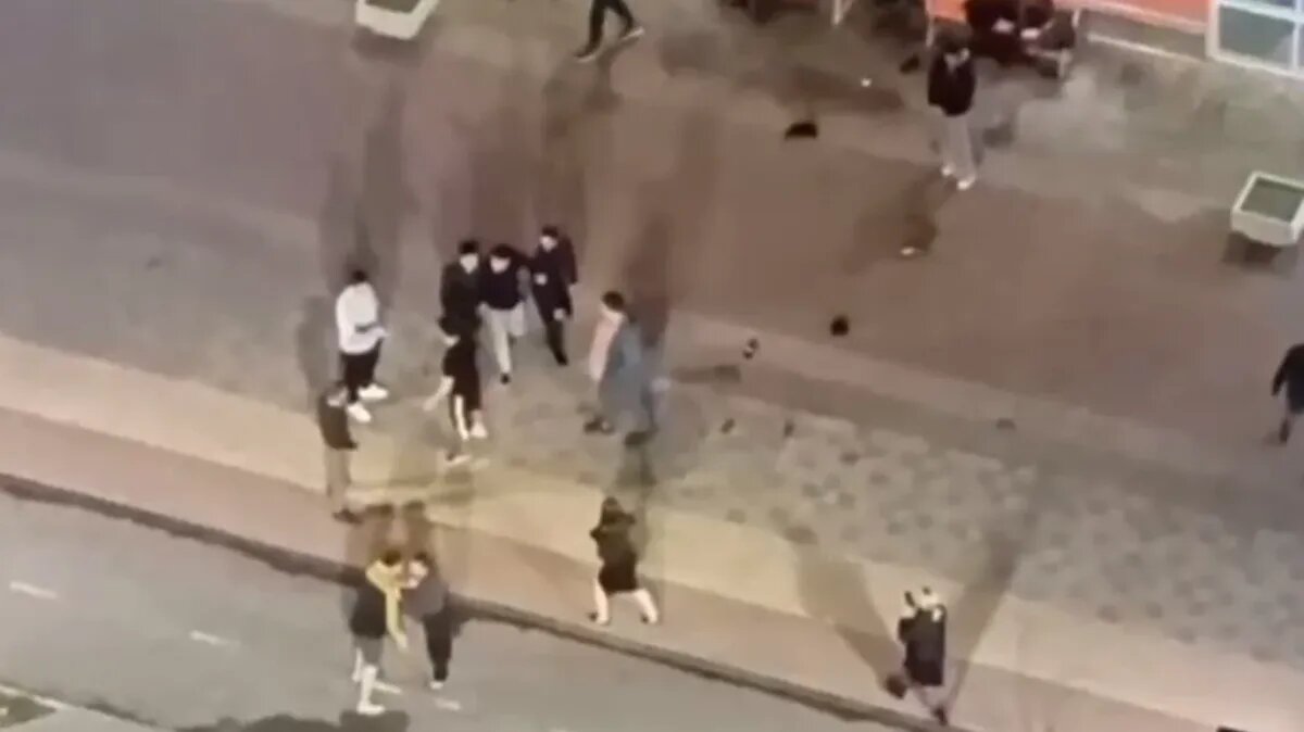 Фото: кадр из видео