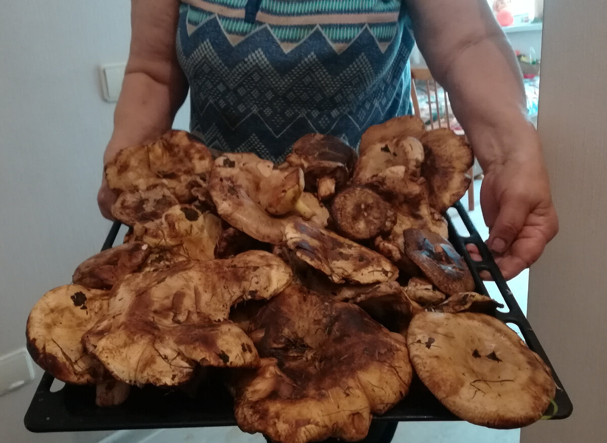 Фото "МК в Новосибирске"