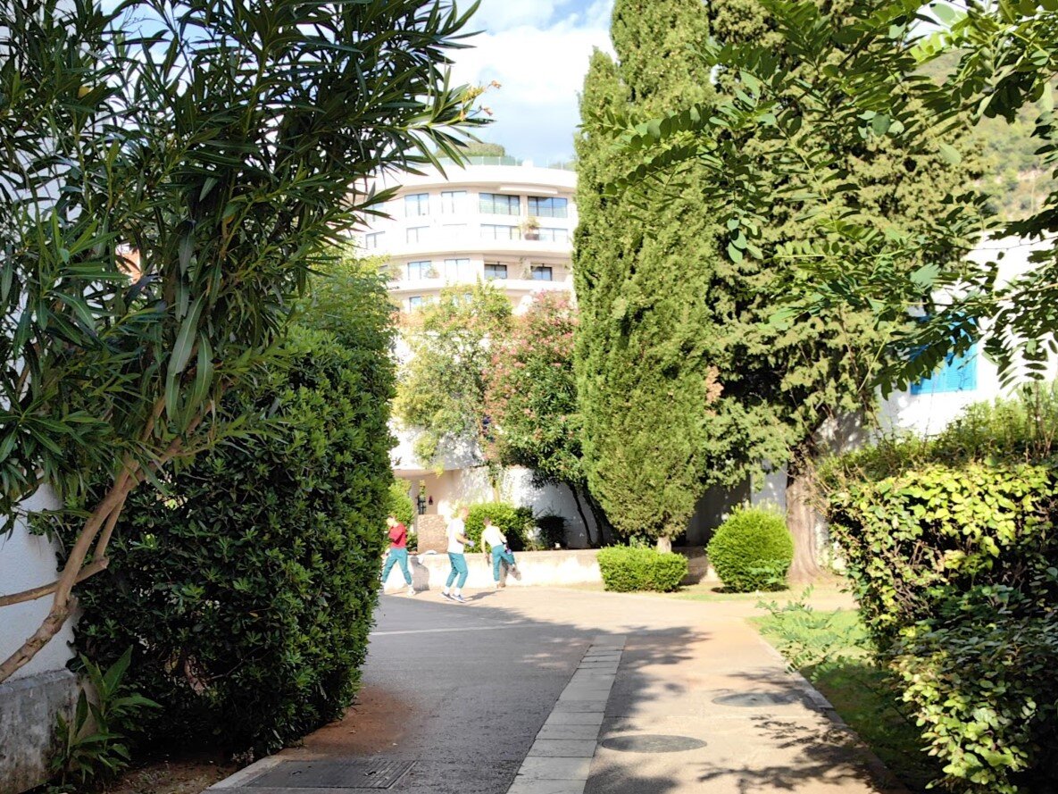 Ребята тренируются, я в роли папарацци снимаю из-за куста