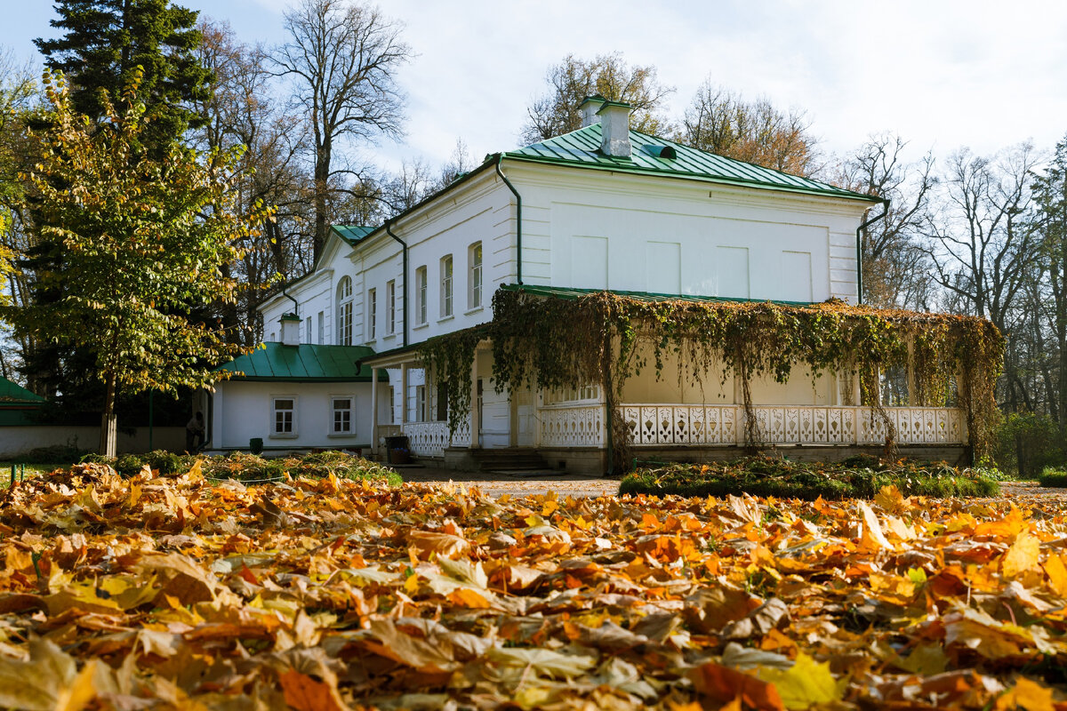 любимая скамейка толстого в ясной поляне