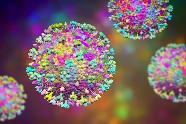 Редкий вирус Лангья (компьютерное изображение) является родственником некоторых смертельно опасных патогенов.Иллюстрация: Kateryna Kon/Science Photo Library