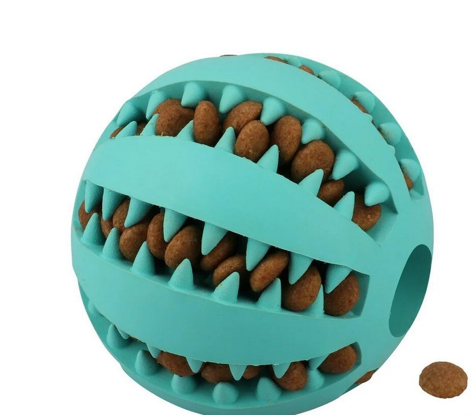 фото из открытых источников. 