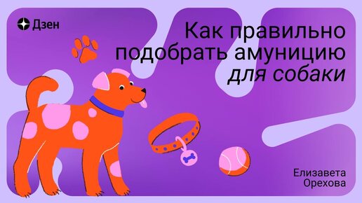 Другие ветеринарные клиники, которые мы рекомендуем