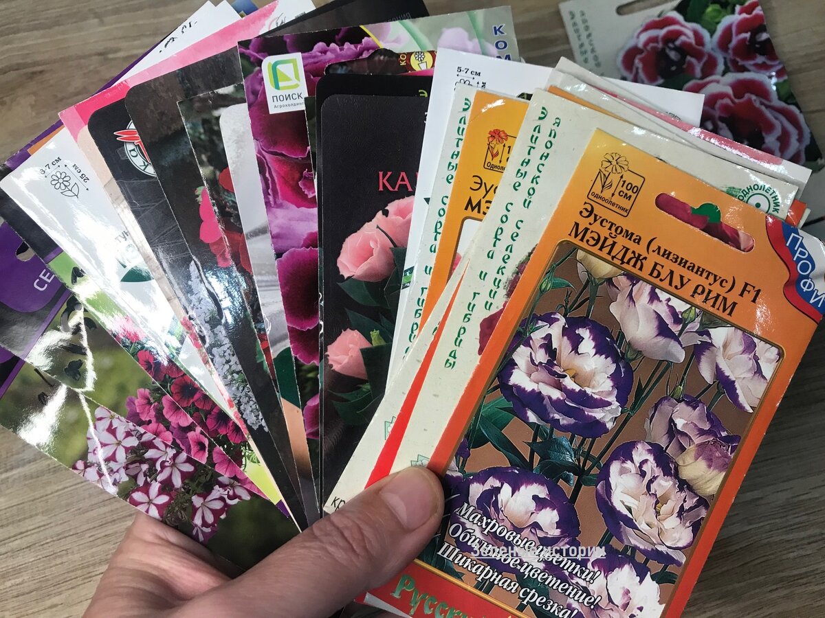 И это еще не все, что запланировано посеять в ноябре