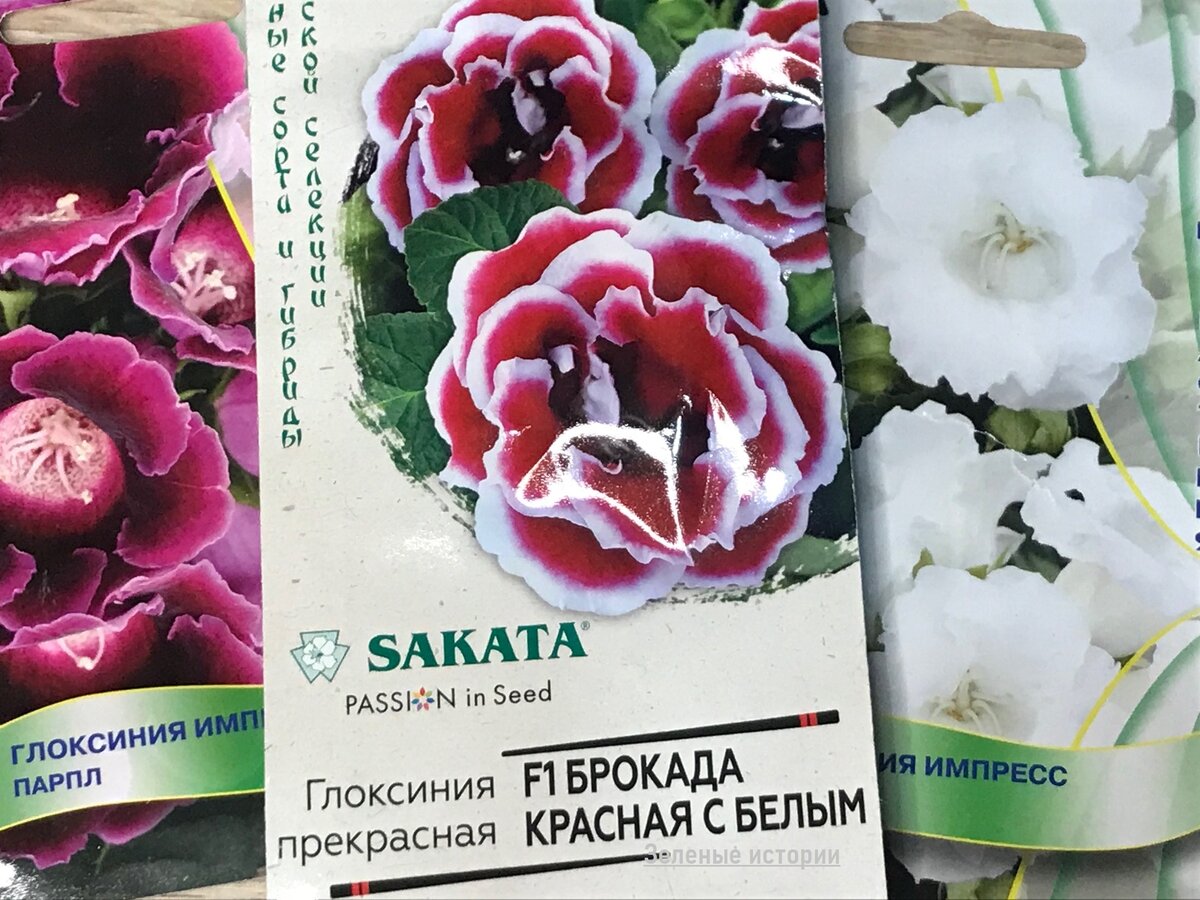 Эти буду сеять в ноябре